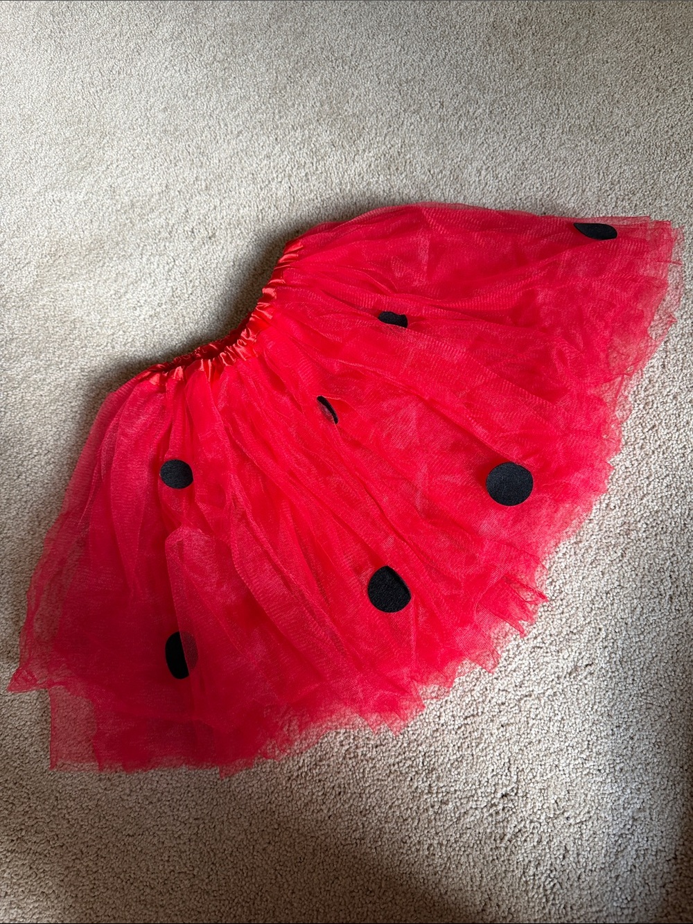 Red Tulle Polka Dot Lady Bug Skirt